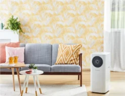 Rowenta 3 In 1 Klimagerät Turbo Cool AU5010 | Mobile Klimaanlage, Ventilator, Luftentfeuchter In Einem | Schlauch & Fernbedienung Inklusive | Eco-Modus -De'Longhi || Rowenta Verkaufsgeschäft 5e93d4d63c469627ac49abbb2e1bc0fb