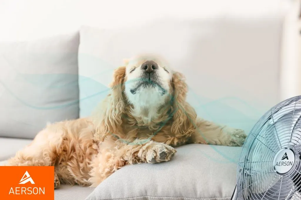 AERSON Bodenventilator 100W 40cm Windmaschine Tischventilator Ventilator Standventilator 10 AERSON Bodenventilator 100W 40cm Windmaschine Tischventilator Ventilator Standventilator – Bild 8